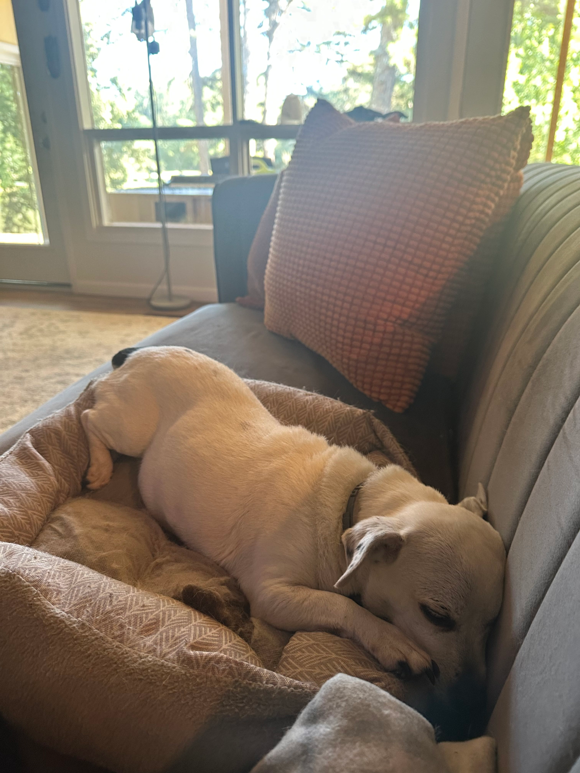 Building the Sanctuary