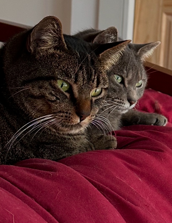 Calypso and Mama Close